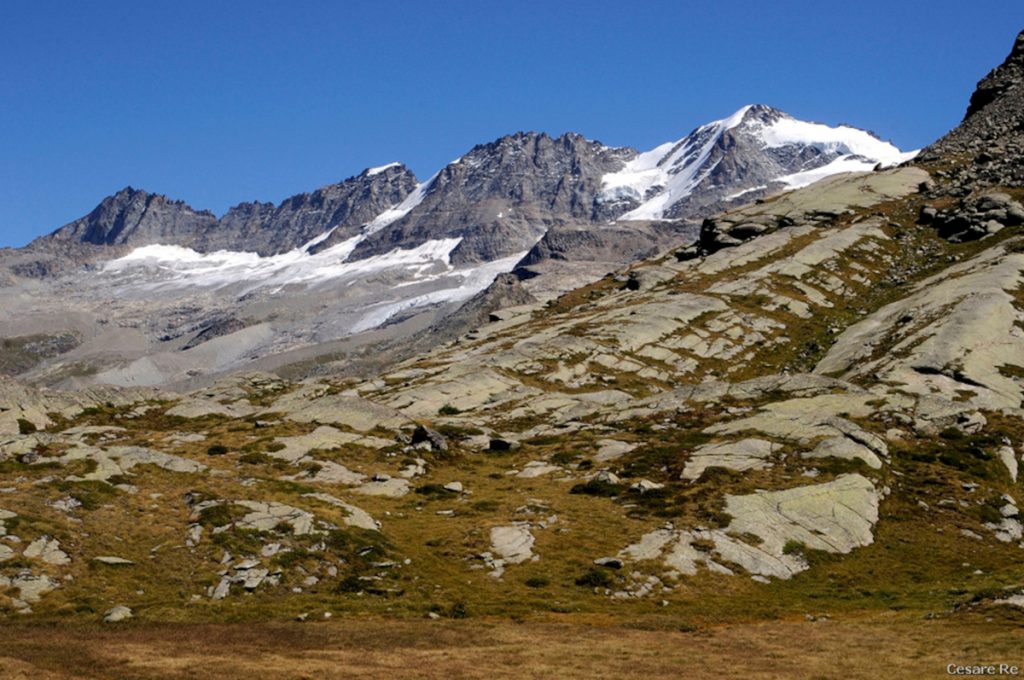 Il Gran Paradiso, dai pressi della Croce di Arolley. Foto di Cesare Re