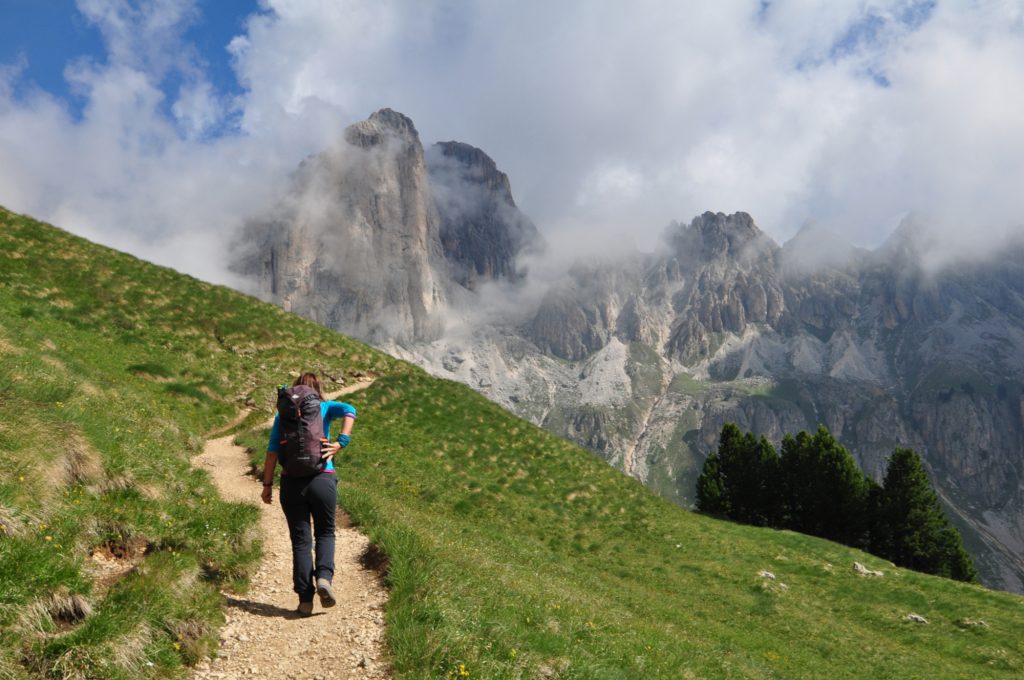 I Mugoni dal sentiero per il Passo del Vajolon. Foto di Stefano Ardito