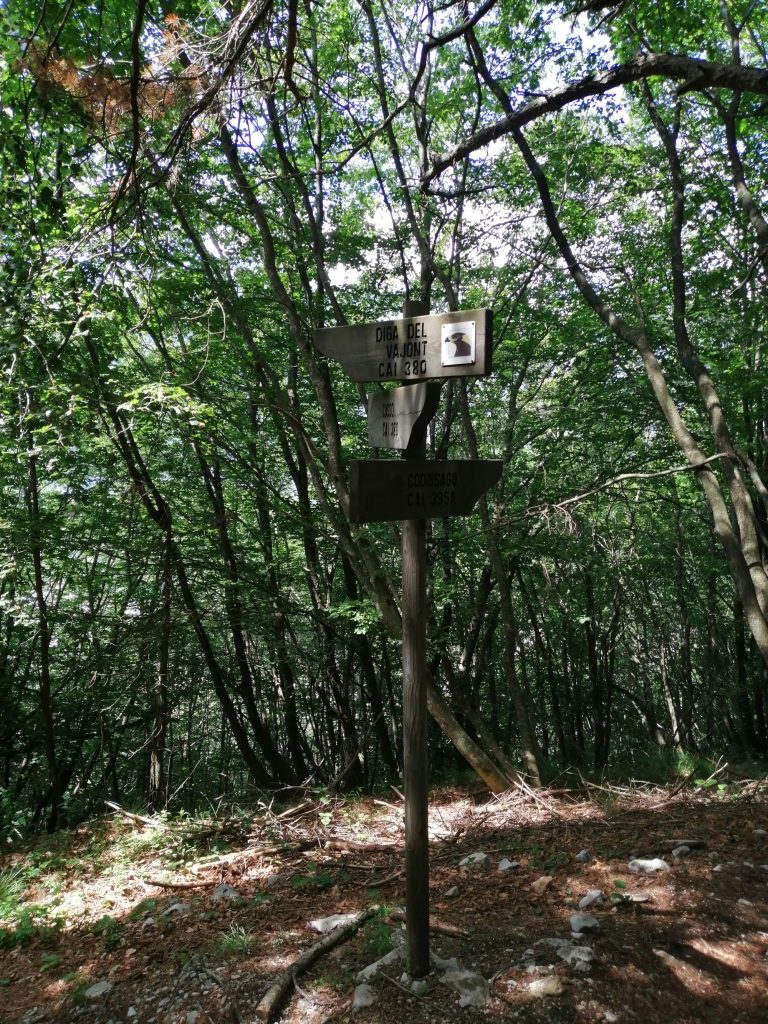 Ferrata della Memoria. Foto di Grazia Pizzoli