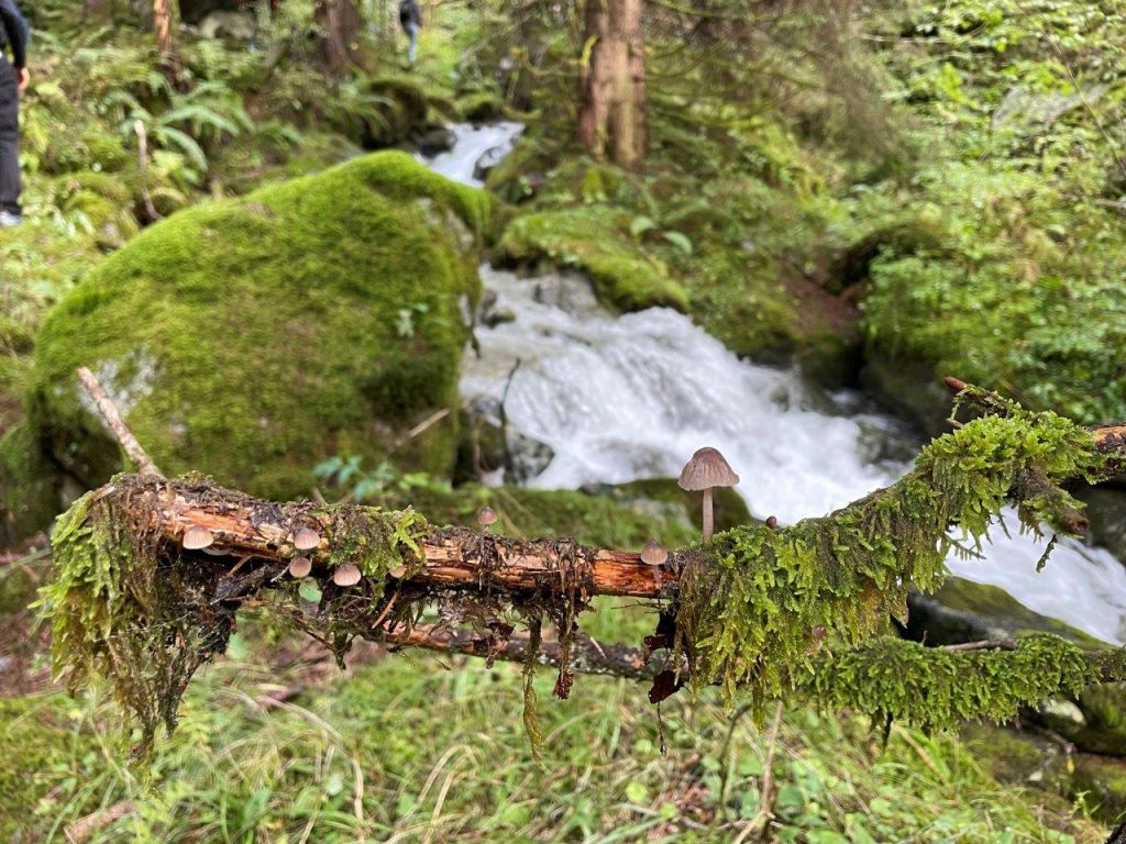 Incontri. Foto di Michele Comi