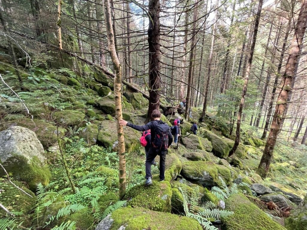Nel folto del bosco. Foto di Michele Comi