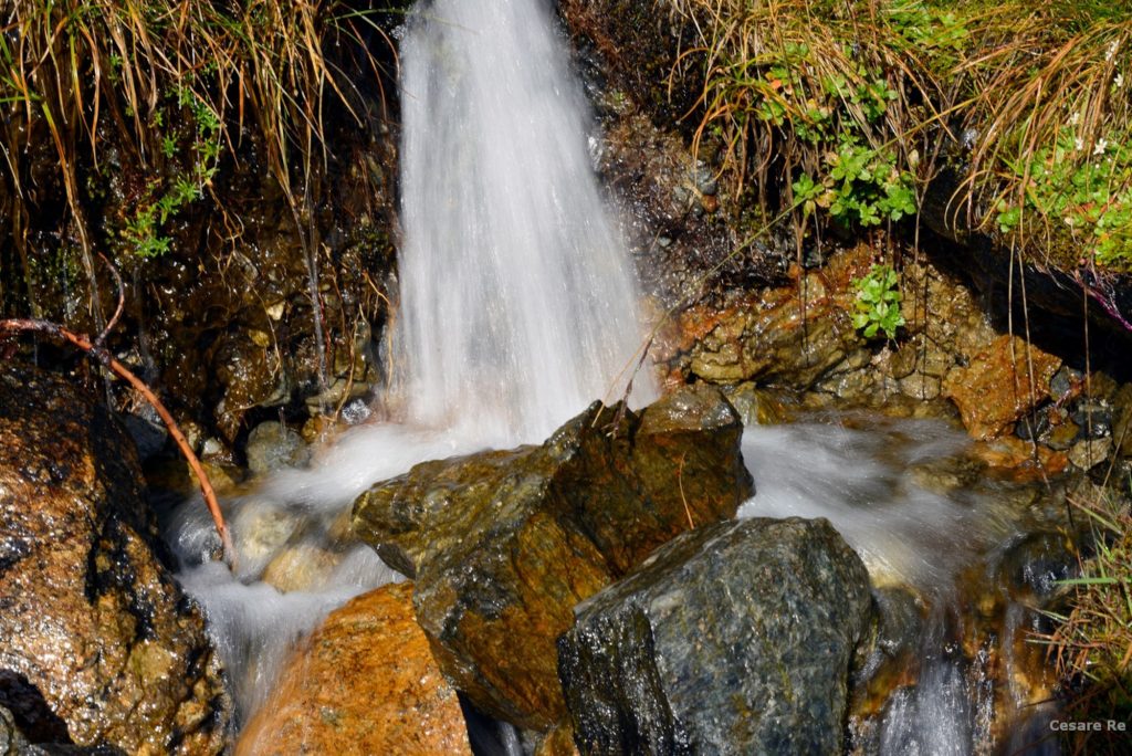 Acque in Val Viola. Foto di Cesare Re