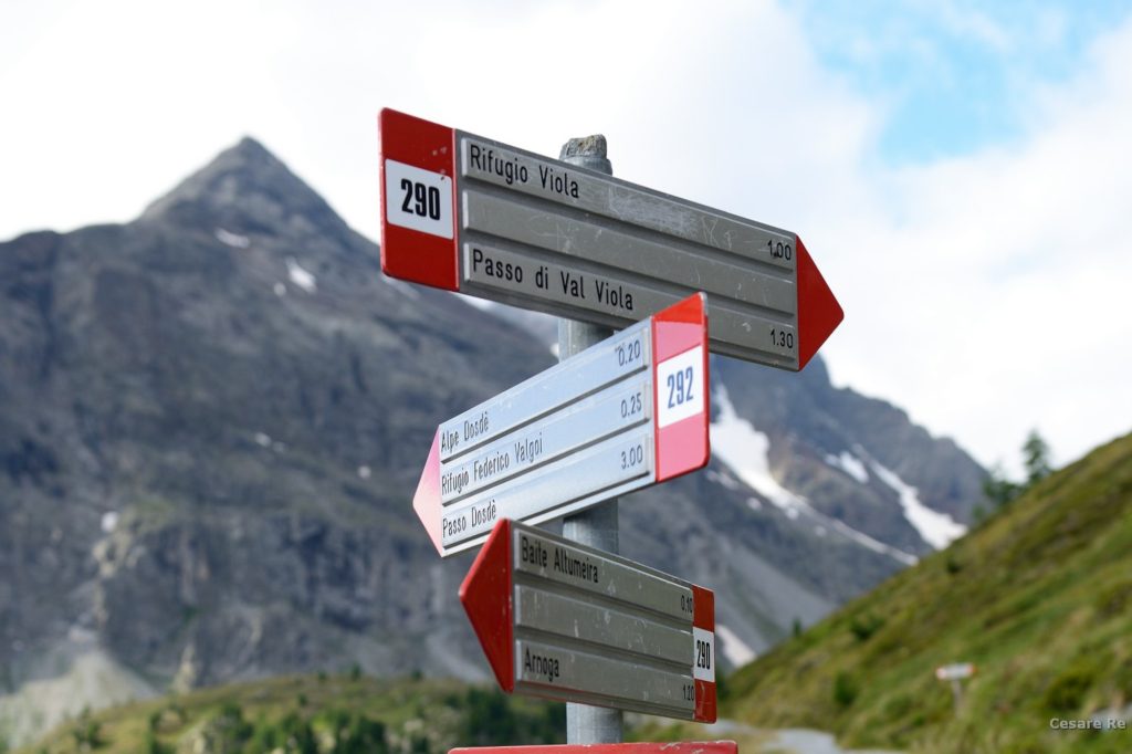 Cartelli di sentiero per il rifugio e il Passo di Val Viola. Foto di Cesare Re