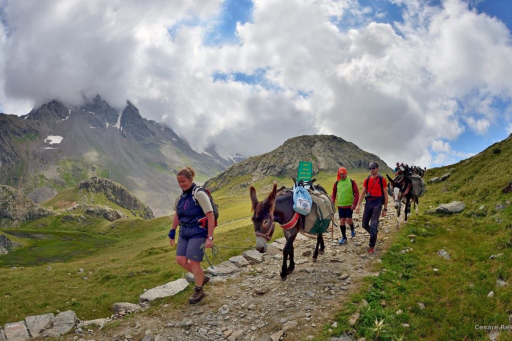 Scendendo dal Passo Val Viola. Foto di Cesare Re