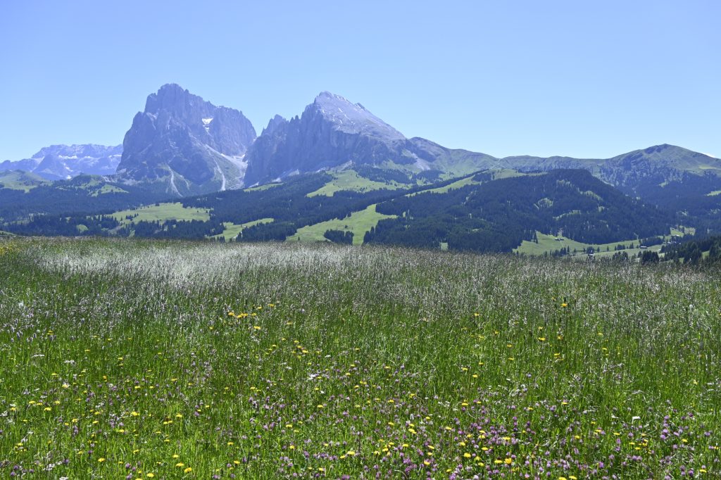 Sassolungo e Sassopiatto
