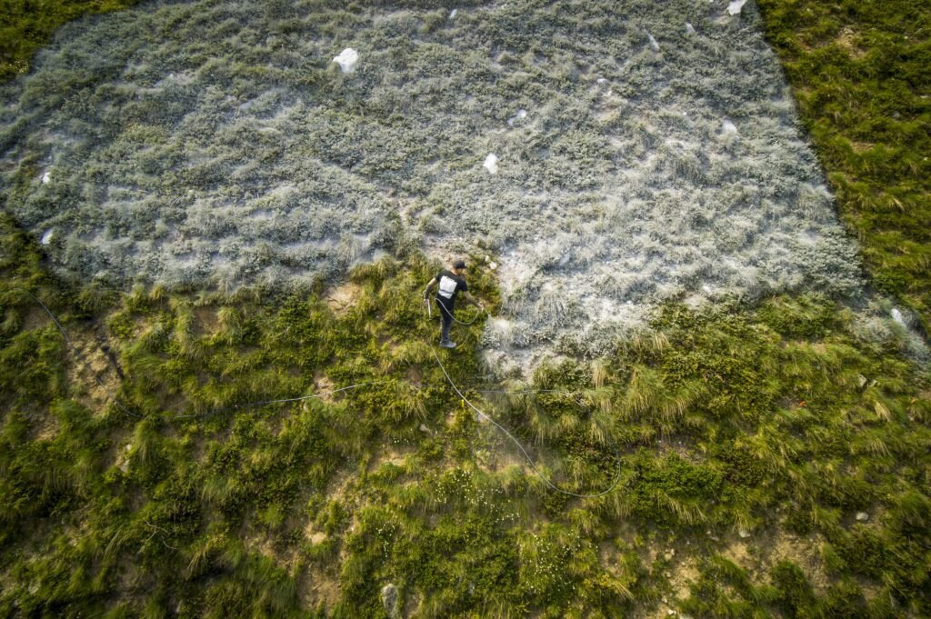 Saype durante la realizzazione dell