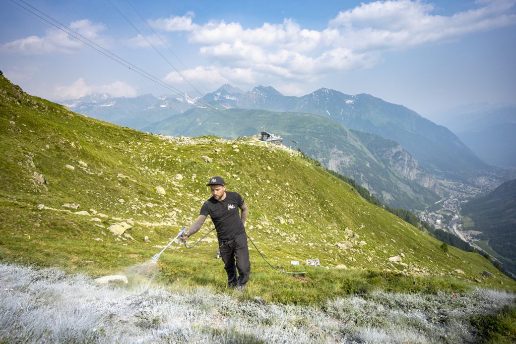 Saype durante la realizzazione dell