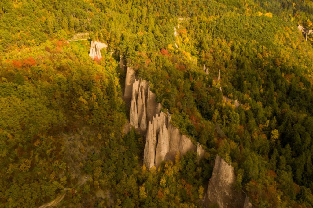 Boschi della Val Cembra | Foto Adobe Stock