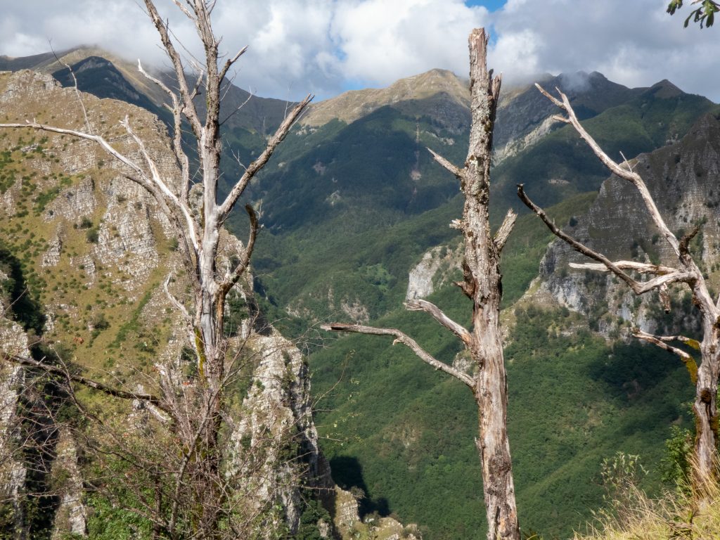 Panorama sulla Garfagnana. Foto AdobeStock