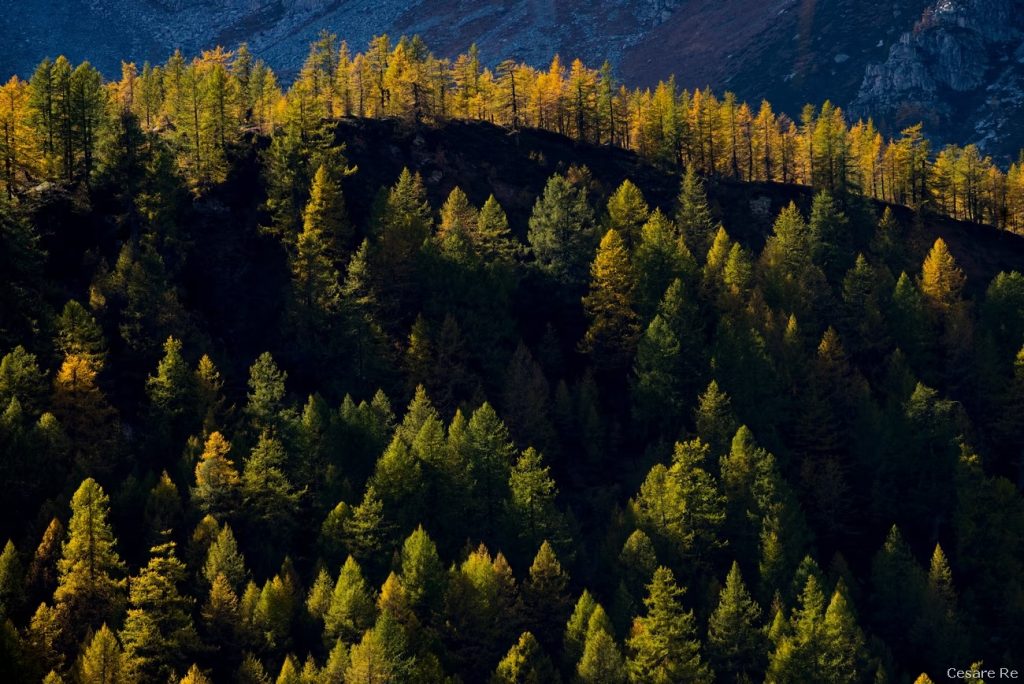 Autunno in Alpe Veglia - Foto Cesare Re