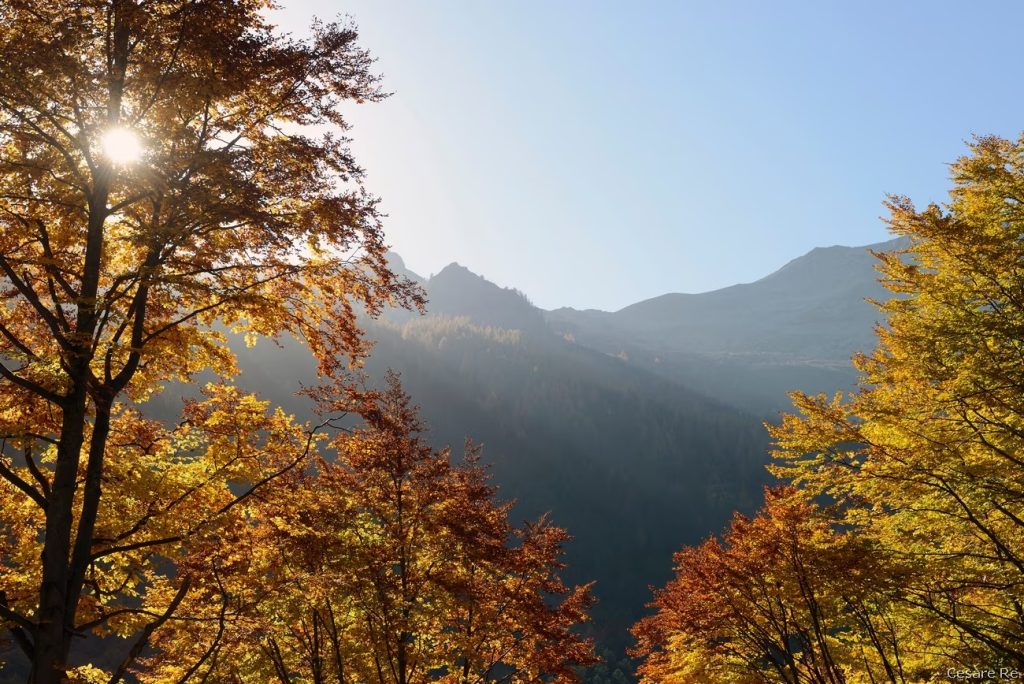 La luce autunnale - Foto Cesare Re