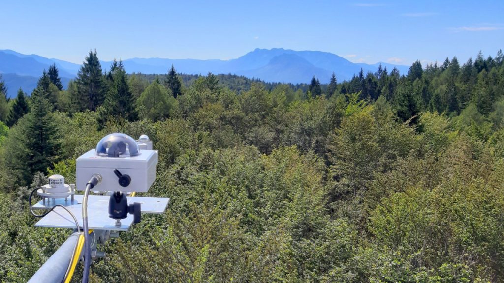 I boschi della val di Cembra, progetto Remotrees