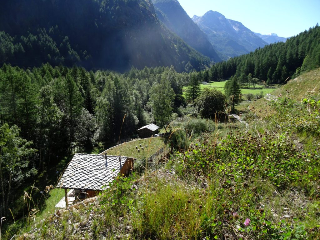 Il Centro Acqua e Biodiversità di Rovenaud