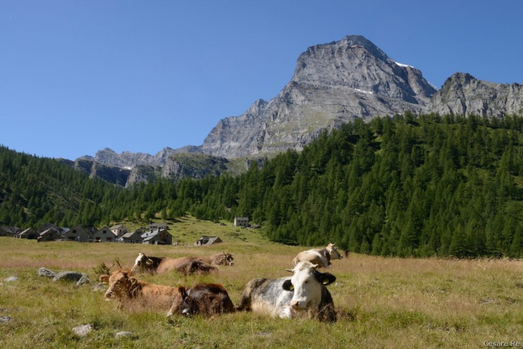 Il Monte Leone dalla Piana del Veglia cesare re