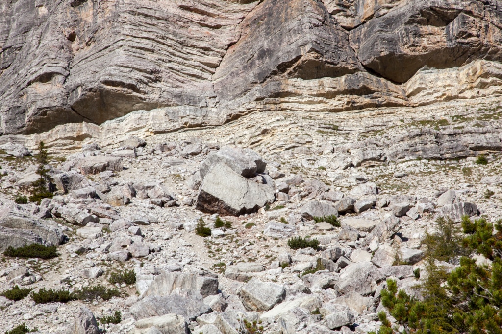 Il masso del Pelmetto con orme courtesy Museo Vittorino Cazzetta