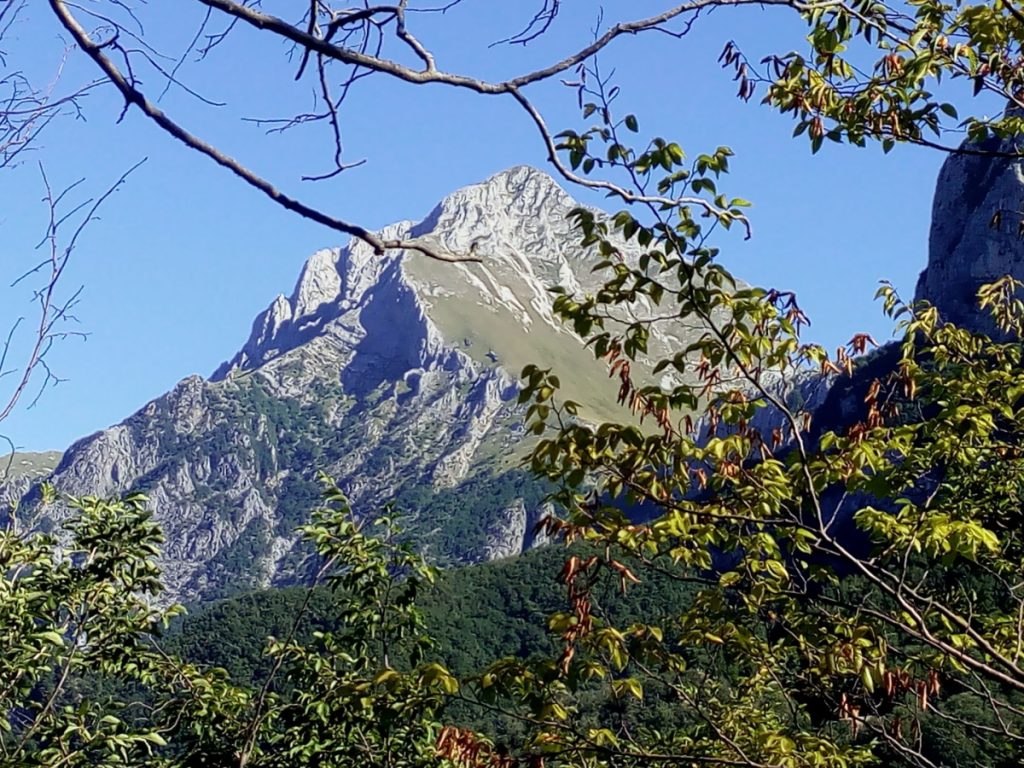 La Pania della Croce vista dal sentiero che sale al Monte Forato