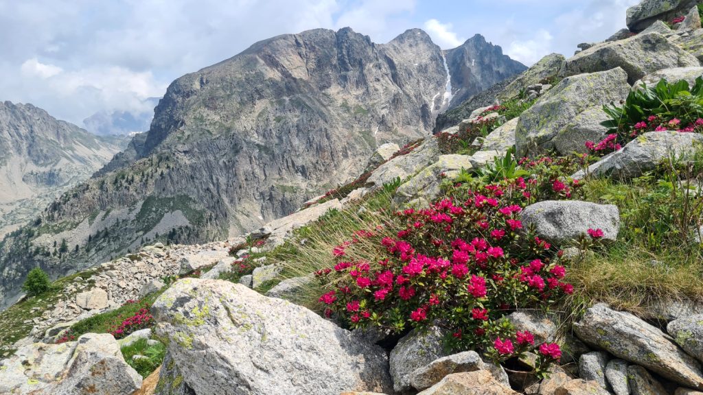 La Testa di Tablasses dal sentiero, foto di Stefano Ardito.