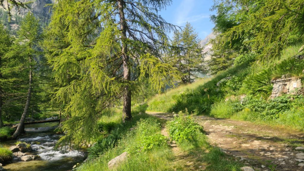 Parco Alpi Marittime Piano del Valasco credit Stefano Ardito
