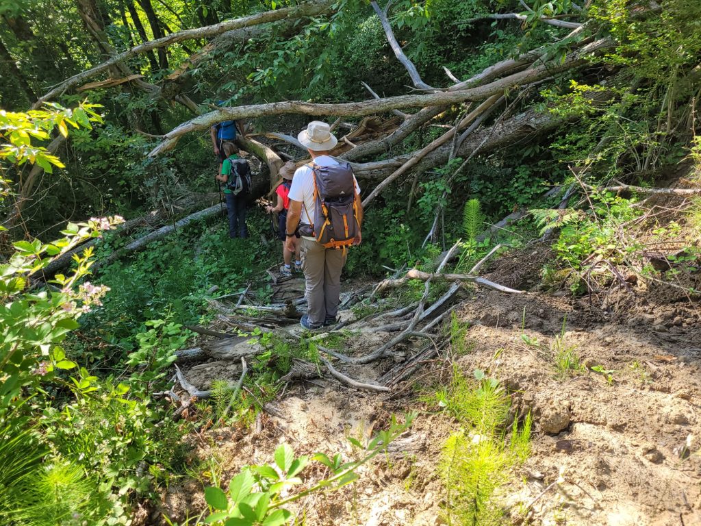 Volontari Cai sui sentieri nella zona di San Paolo in Alpe (FC)