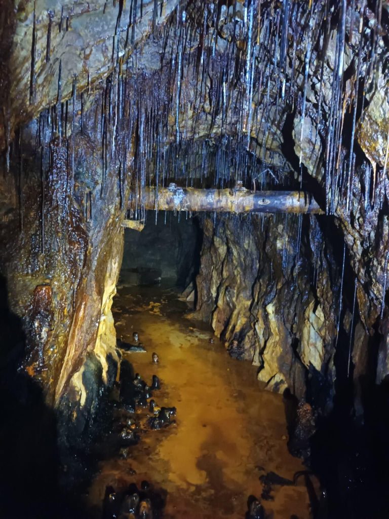 courtesy Figli della miniera