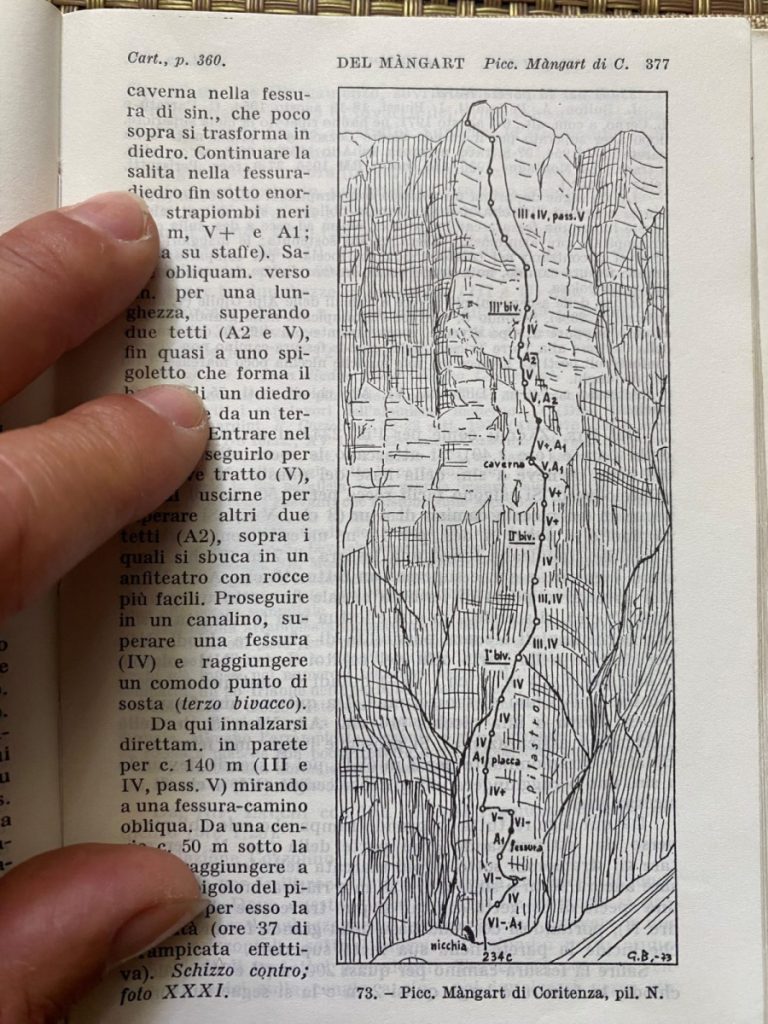 la relazione di Buscaini