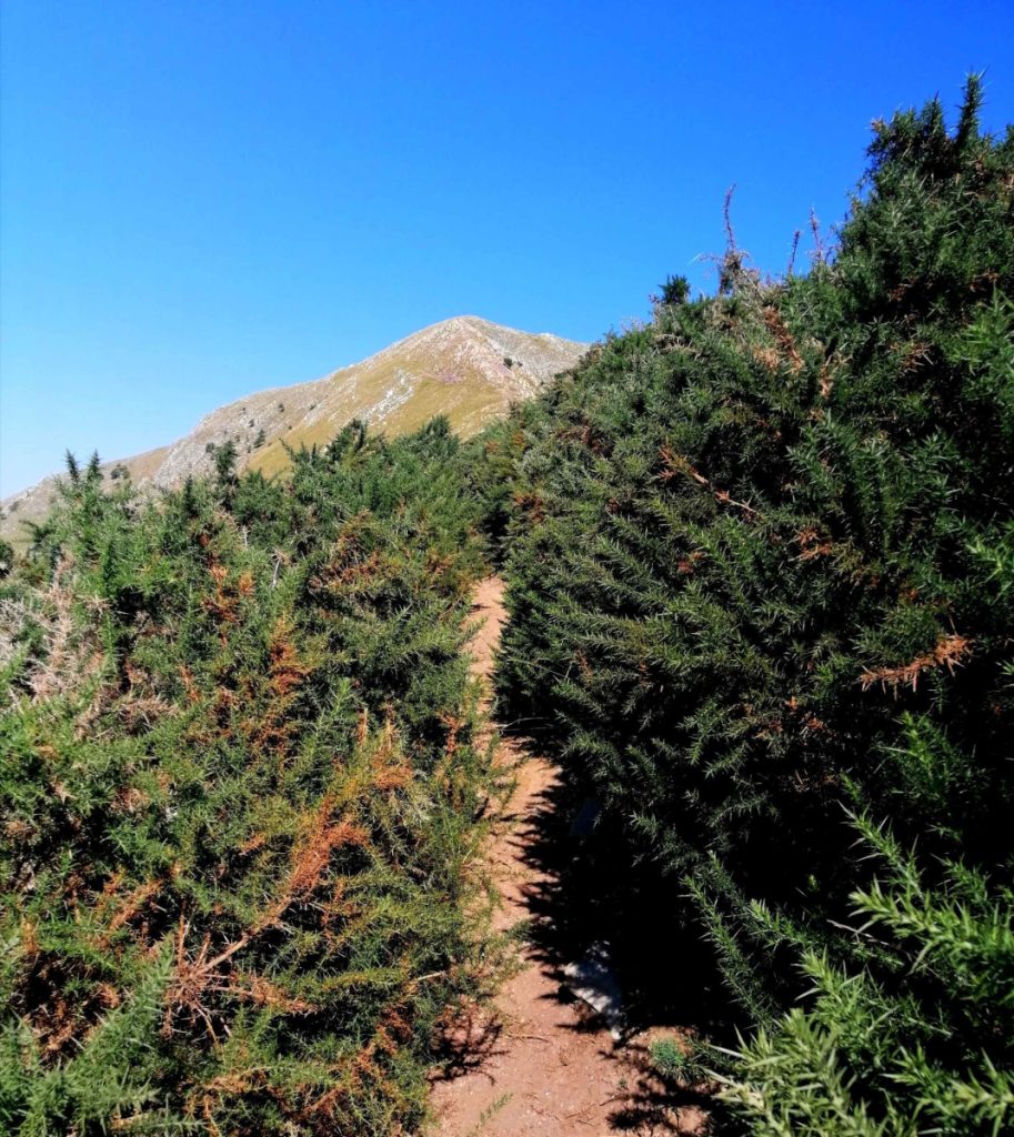 verso la vetta del Monte Matanna credit Ettore Pettinaroli