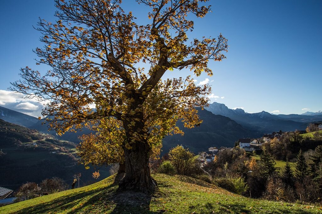 @TG-Klausen_Wolfgang-Gafriller