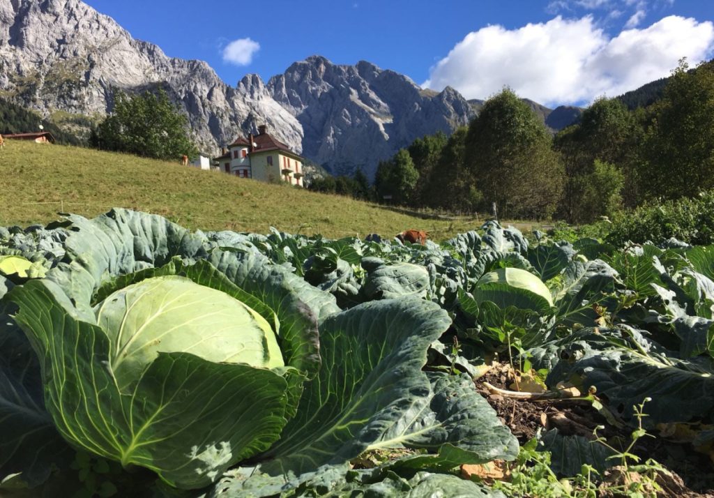 Ciaput a Collina, in Carnia