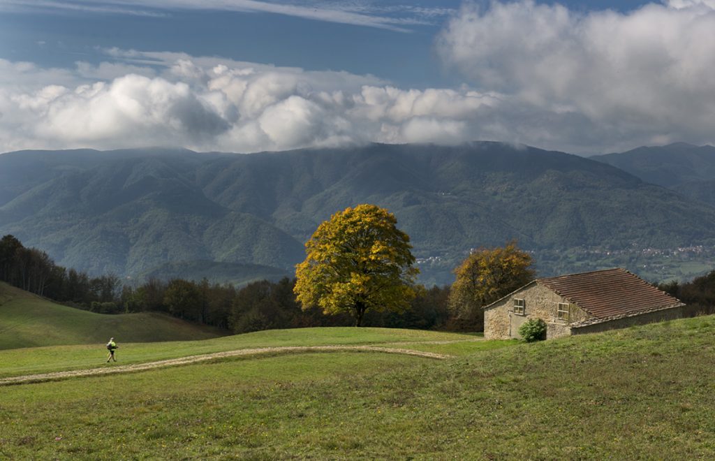 Tra Madonna Dei Fornelli e il Passo della Futa @ Roberto Carnevali