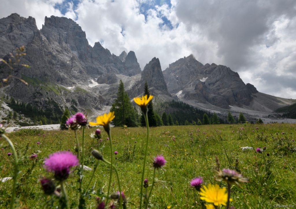 Cima Vezzana e le Pale di San Martino credit Cesare Re