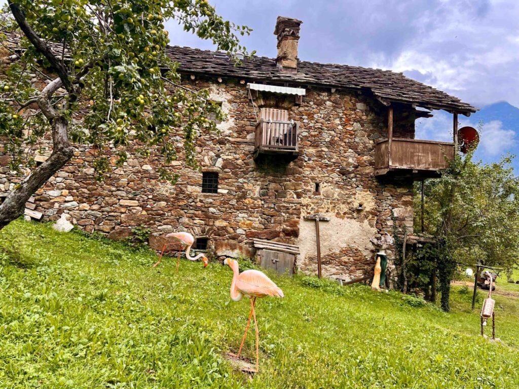 Fenicotteri a Chemp PH Debora Bionaz