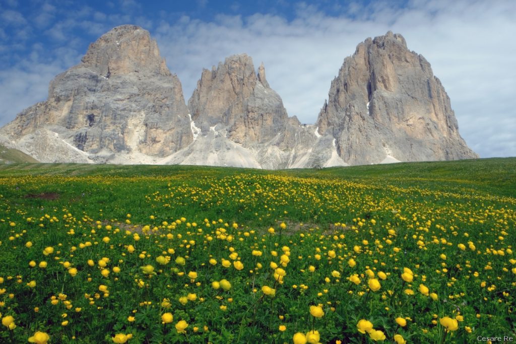 Il gruppo del Sassolungo, salendo verso il sentiero Fredrik August ph. Cesare Re