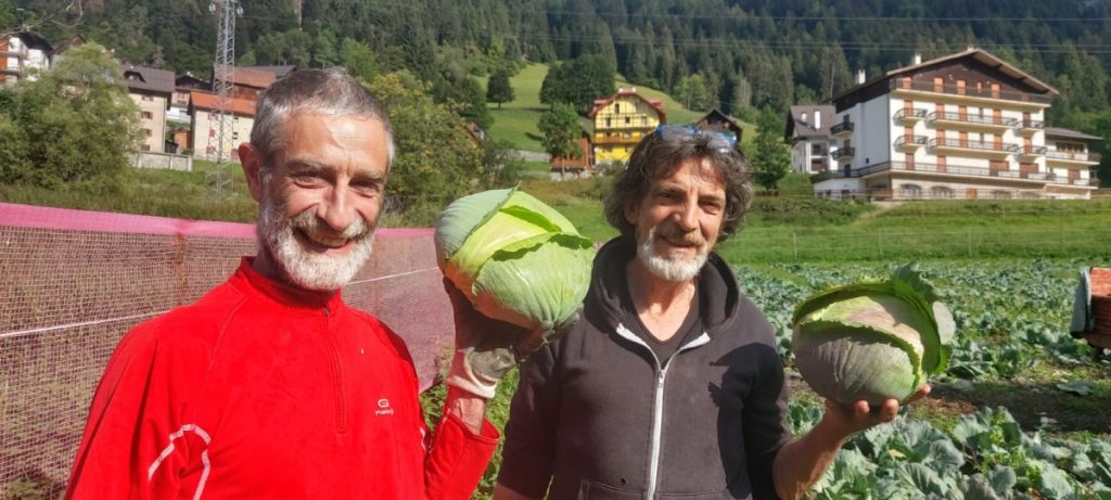 Il raccolto @Cooperativa di Collina