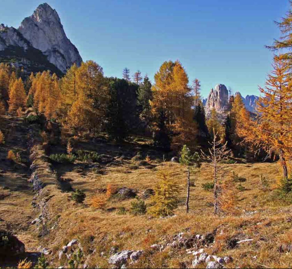 La Muraglia di Giau ricoperta dalla vegetazione ph Michele Da Pozzo