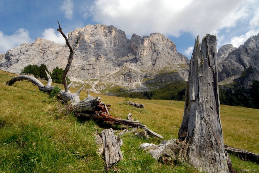 La cima Mulaz vista scendendo verso la Val Venegia credit Cesare Re