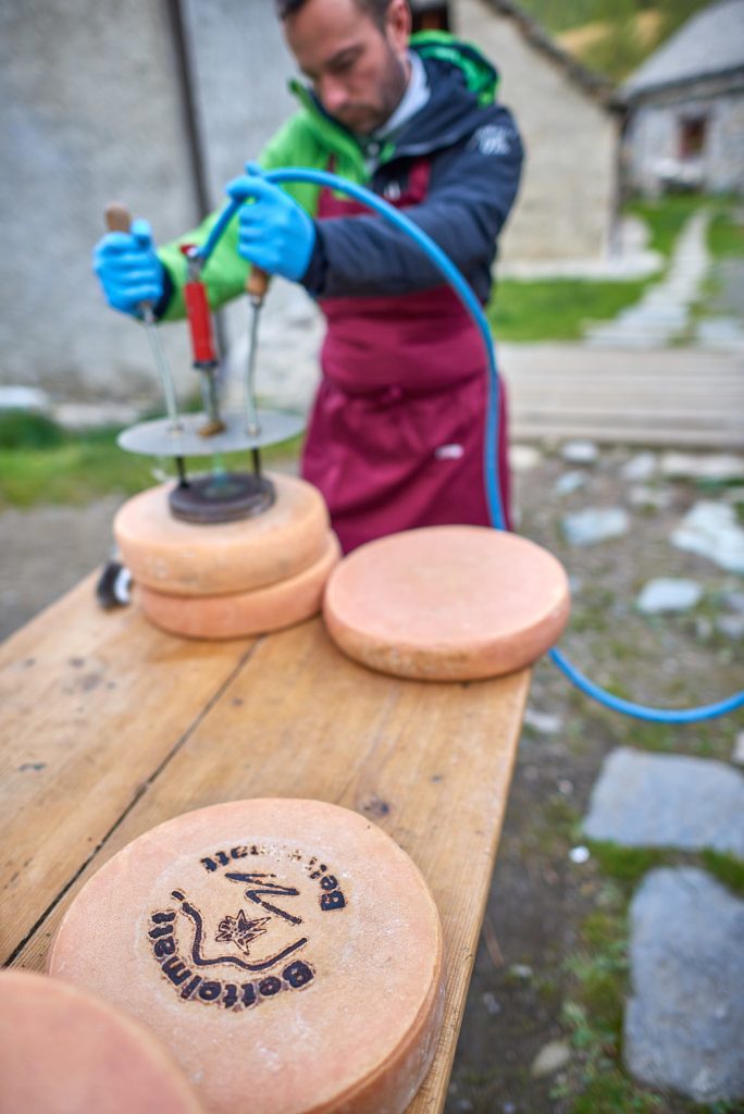 Putting quality mark on Bettelmatt, high quality cheese made in higher Ossola Valley, Italy.