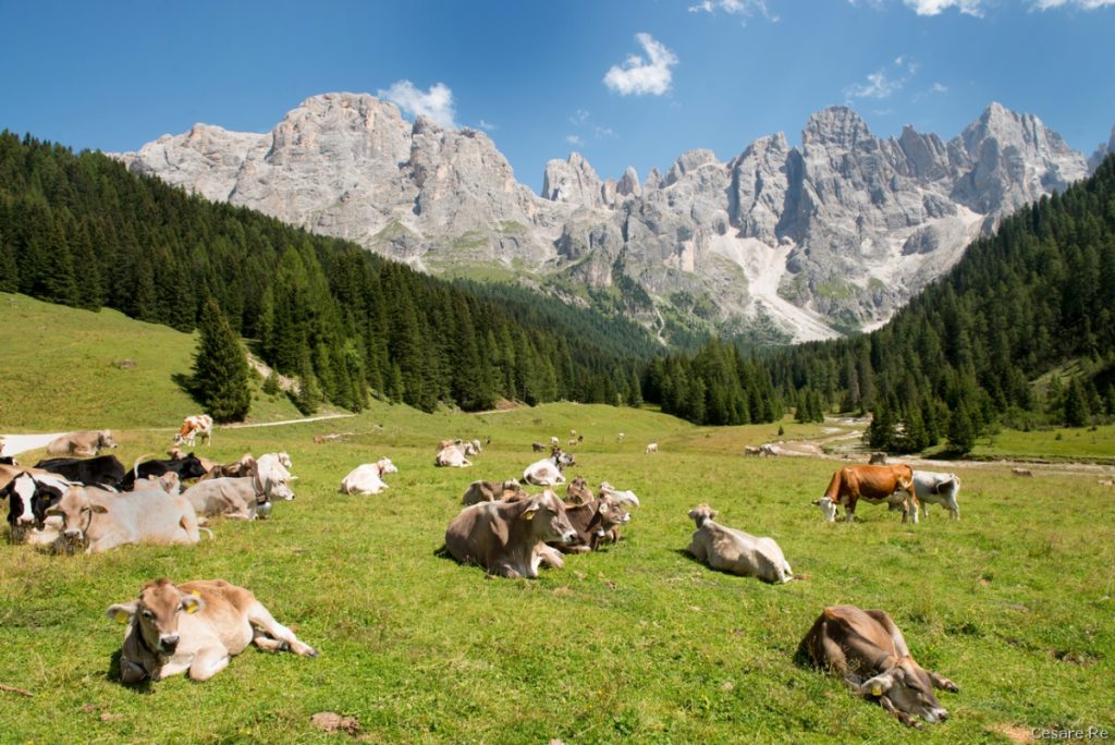 La testata della Val Venegia credit Cesare Re