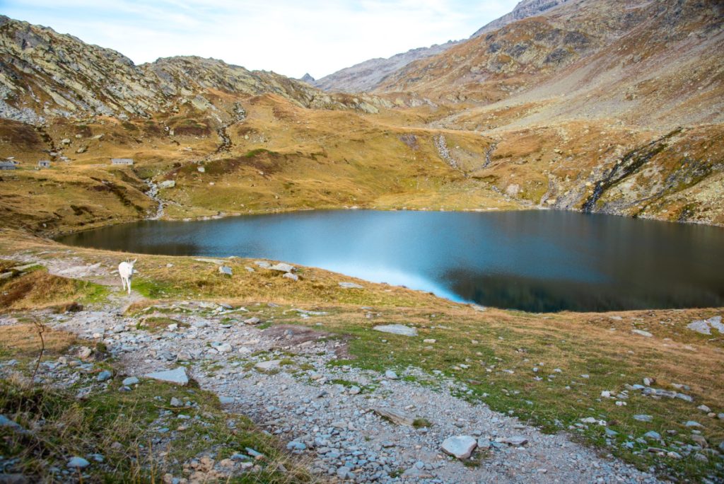 Lago d