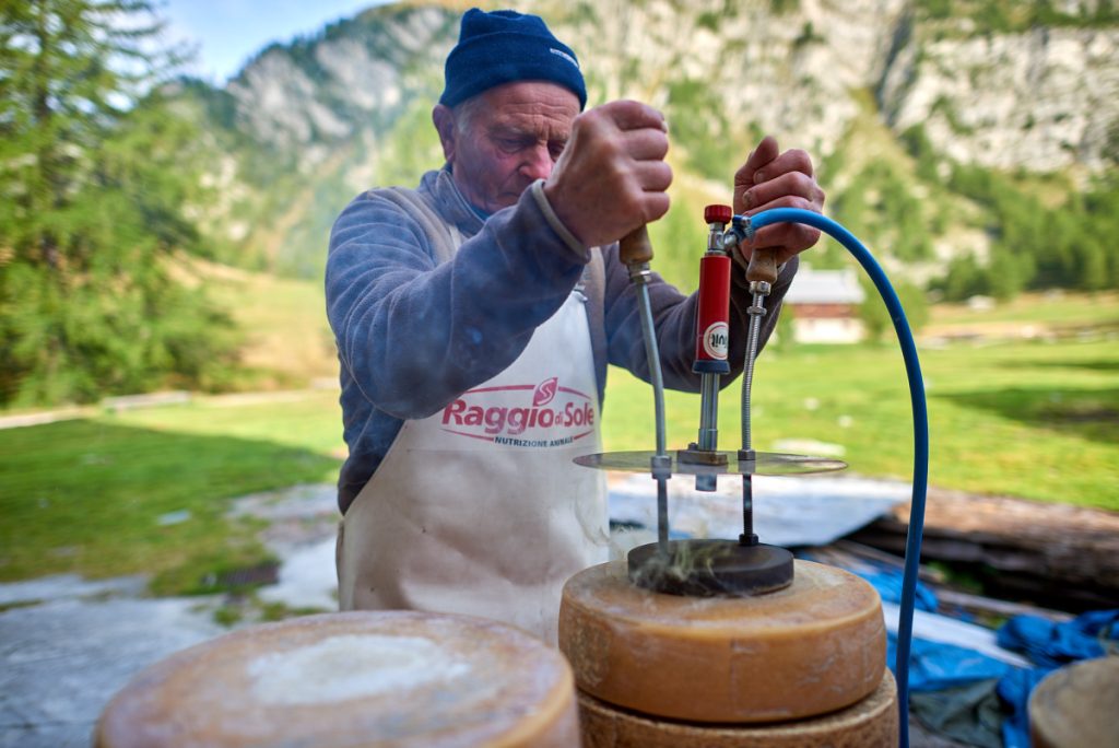 Putting quality mark on Bettelmatt, high quality cheese made in higher Ossola Valley, Italy.