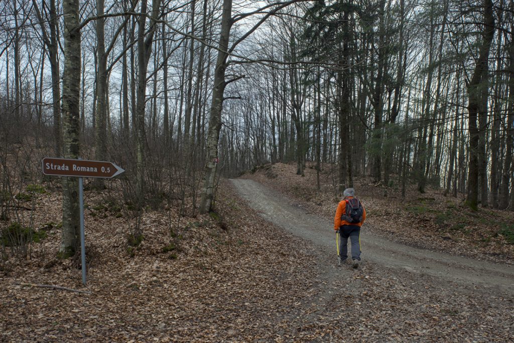 Nei pressi della Via Flaminia Militare nei pressi di Madonna dei Fornelli @ Roberto Carnevali