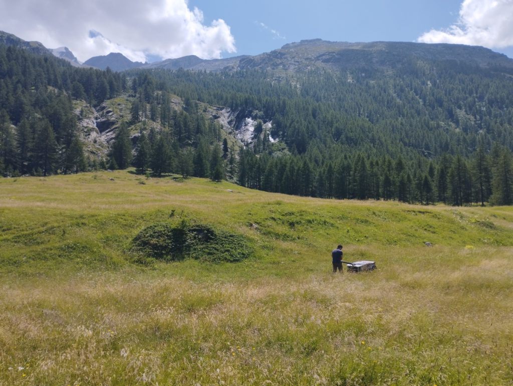 Raccolta del fiorume in Valsavarenche @PNGP