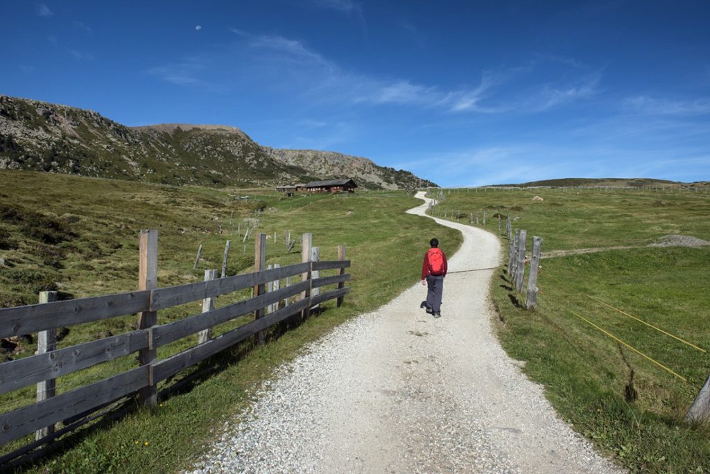 Sul sentierro n.6 nella parte alta dellAlpe di Villandro credit Roberto Carnevali