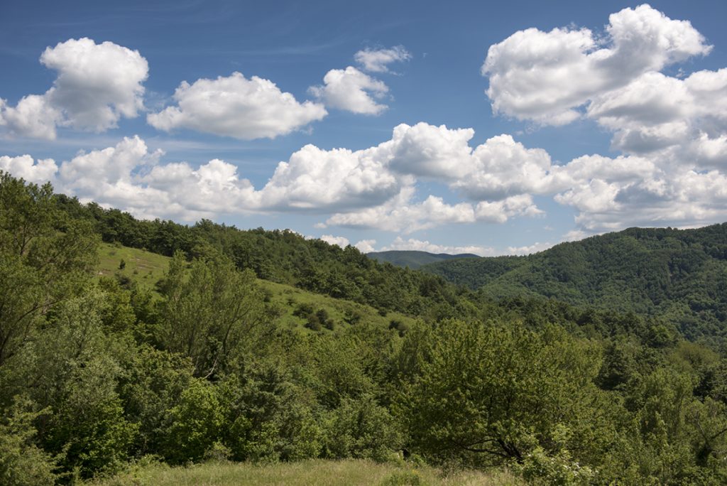Una camminata tra foreste molto estese credit Roberto Carnevali