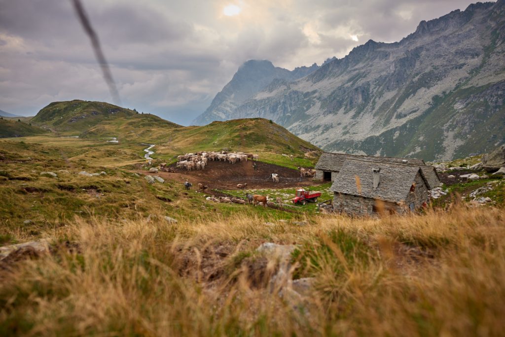 Uno degli alpeggi culla del Bettelmatt @Sartori