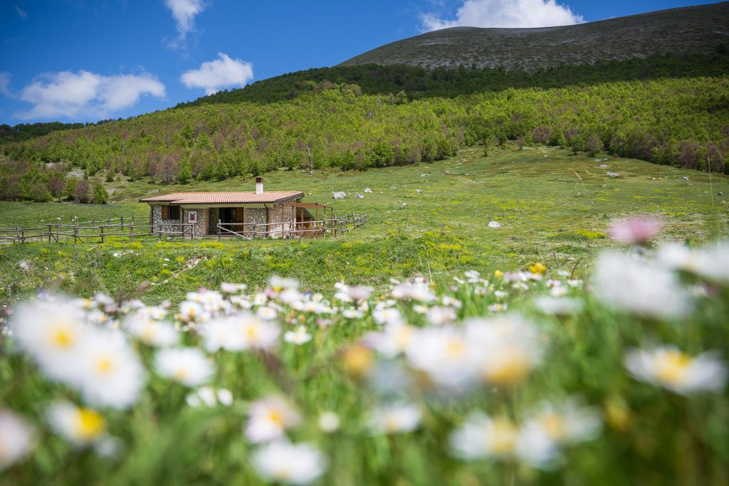 Il Rifugio Terraegna