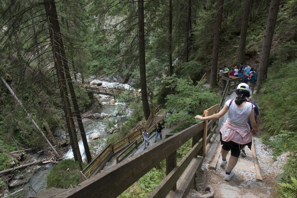 Il sentiero che porta alla Cascata credit Roberto Carnevali