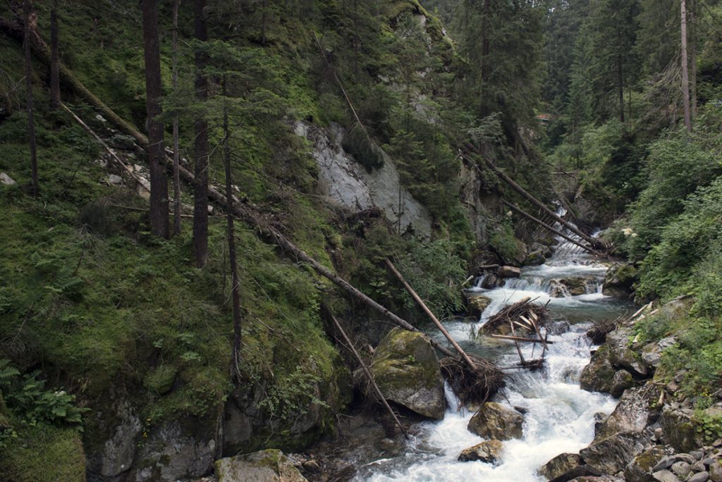 Il torrente a valle della cascata