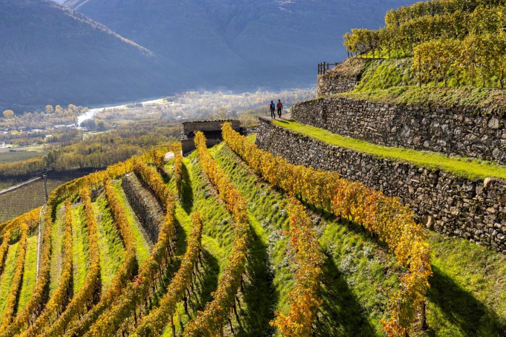 In cammino tra filari e muretti a secco