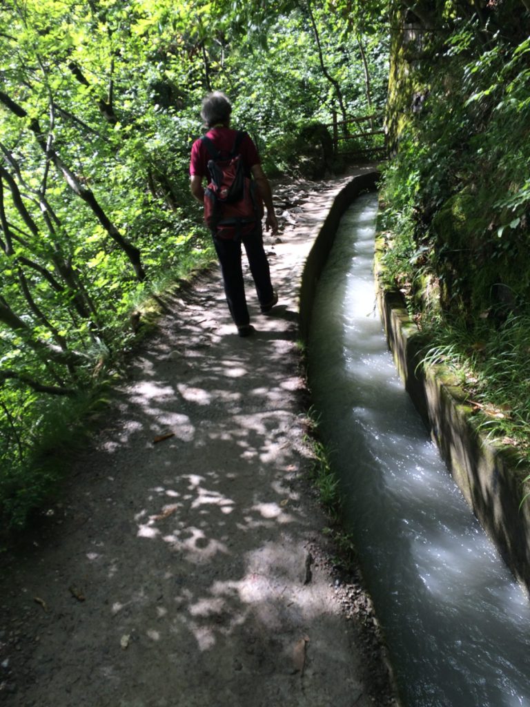 Lungo la roggia di Marlengo credit Massimo Spampani