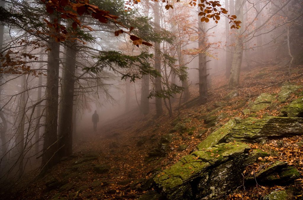 Errance cévenole di Cannelle Gamard @Chamonix Photo Festival